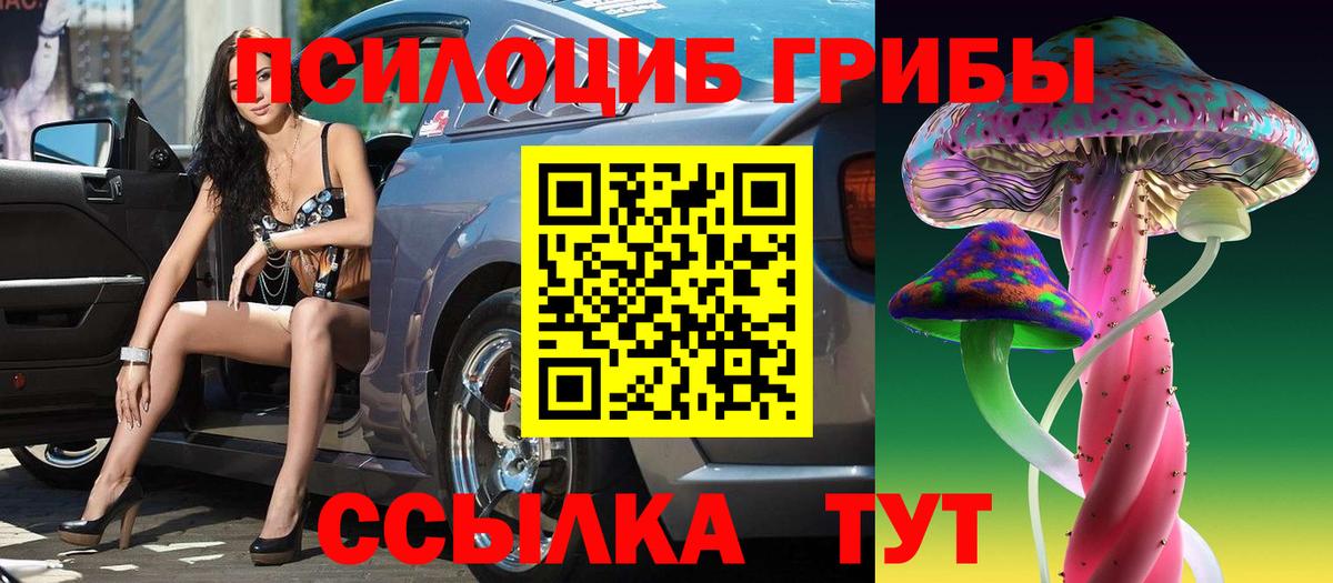 Галлюциногенные грибы Psilocybine cubensis  Вход с VPN  Семёнов 